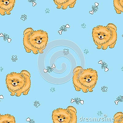 Seamless pattern with cute pomeranian puppy on blue. Vector Illustration