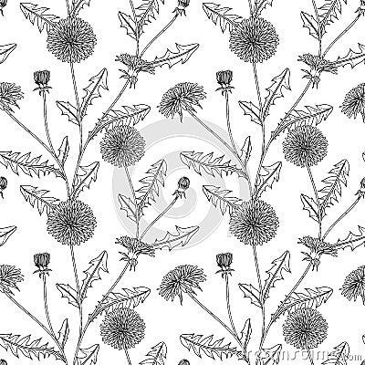 Seamless pattern dandelion floral hand drawn illustration Cartoon Illustration