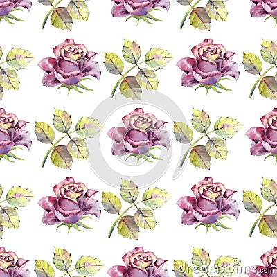 Seamless pattern. Dark rose flowers, green leaves. Flower poster, invitation. Watercolor compositions Stock Photo