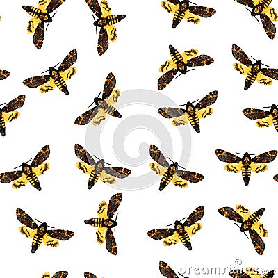 Seamless pattern Death head brown yellow butterfly Acherontia atropos Hawk moth with skull Stock Photo