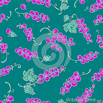 Seamless pattern of decorative drawn bunches ripe currant berries Vector Illustration