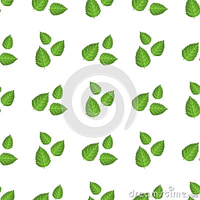 Seamless pattern with decorative green raspberry leaves on white background. Vector illustration for any design Vector Illustration