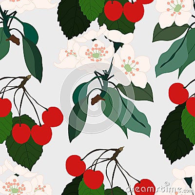 Seamless pattern design with cherries and cherry blossom Vector Illustration