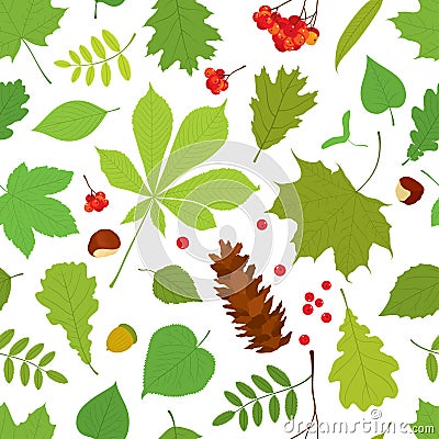 Seamless pattern of different tree leaves. Vector Illustration