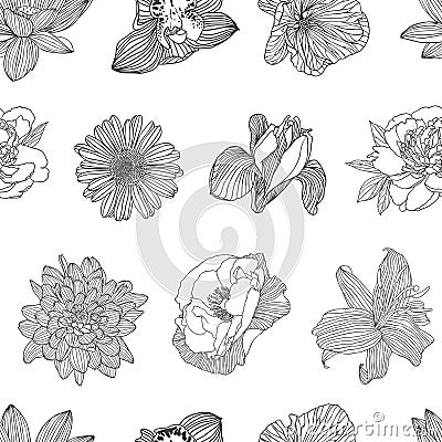 Seamless pattern of different flowers Vector Illustration