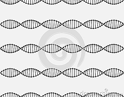 Seamless pattern of a DNA molecule are arranged horizontally. Black lines on white background Vector Illustration
