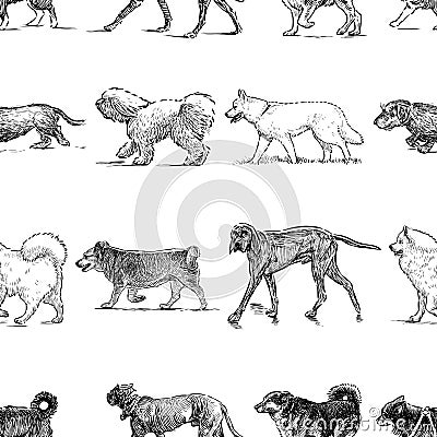 Seamless pattern of the dogs of different breeds Vector Illustration