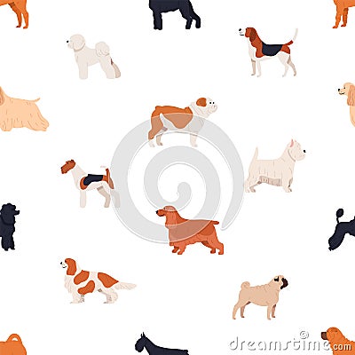 Seamless pattern with dogs of various breeds on white background. Backdrop with cute purebred pet animals of different Vector Illustration