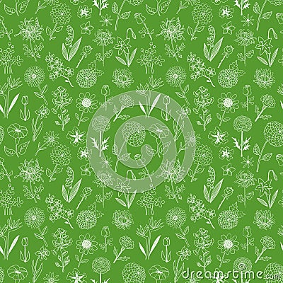 Seamless pattern with doodle sketch flowers. Can be used for wallpaper, pattern fills, textile, web page background Vector Illustration