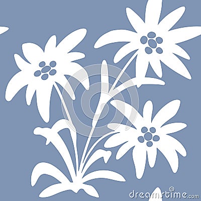seamless pattern with edelweiss flowers. Snow beauty. Vector illustration. Alpine star. swiss Vector Illustration