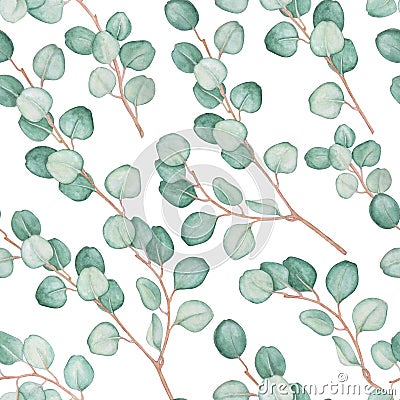 Seamless pattern of eucalyptus branches on white background Cartoon Illustration