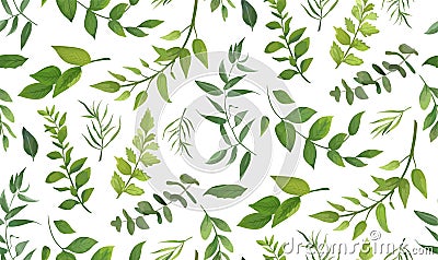 Seamless pattern of Eucalyptus palm fern different tree, foliage Vector Illustration