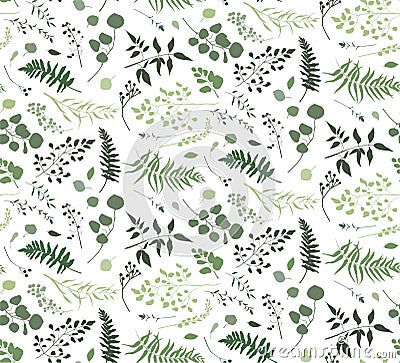 Seamless pattern of Eucalyptus palm fern different tree, foliage Vector Illustration