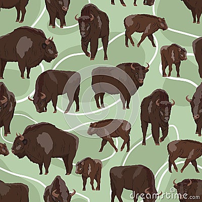Seamless pattern. European bison Bison bonasus Males, females and calves European wood bison. The wisent or the zubr. Realistic ve Vector Illustration