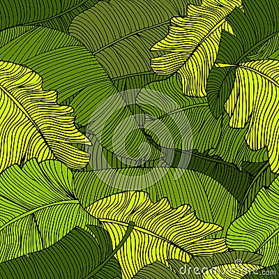 Seamless pattern of exotic, bright green leaves of a banana closeup Vector Illustration