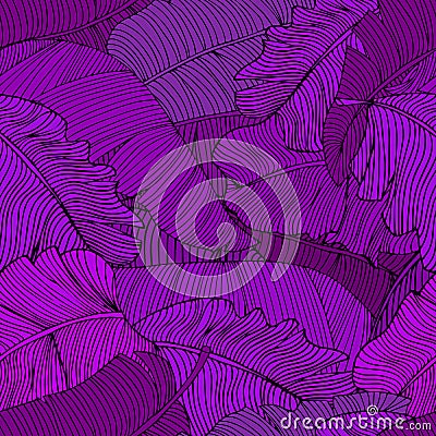 Seamless pattern of exotic, bright purple banana leaves closeup Vector Illustration