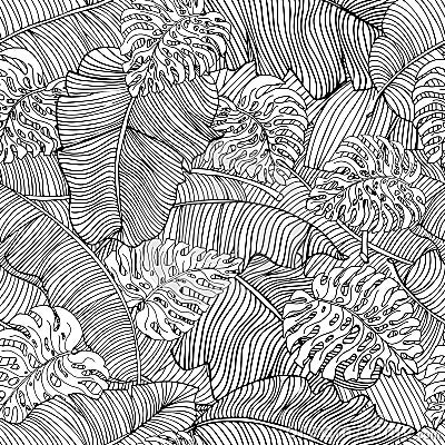 Seamless pattern of exotic white banana leaves and monstera leaves with black outline. Decorative image with tropical foliage Vector Illustration