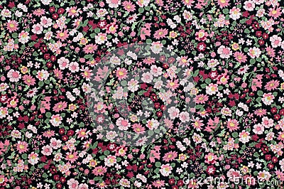 Seamless pattern, floral fabric background. Stock Photo