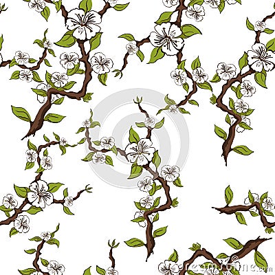 Seamless pattern of flowering branches of apple on a white background Vector Illustration