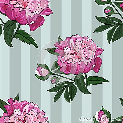 Seamless pattern of flowers and buds of pink peony on a green vertical striped background. Vector. Vector Illustration