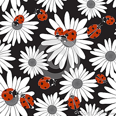 Seamless pattern with the flowers of chamomile and ladybirds. Stock Photo