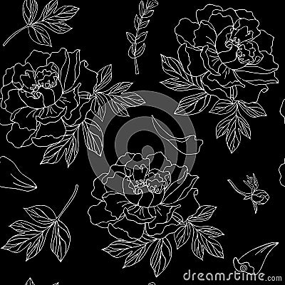 Seamless pattern with flowers and leaves of peony. White outline on a black background Stock Photo