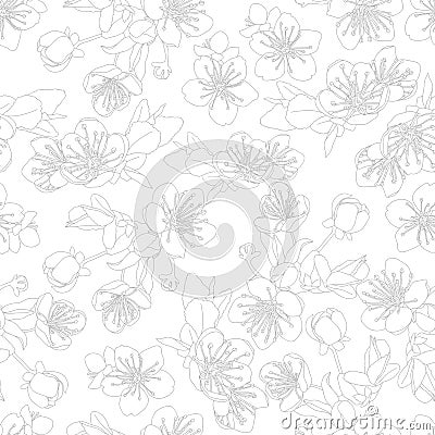 seamless pattern with flowers of sakura Stock Photo