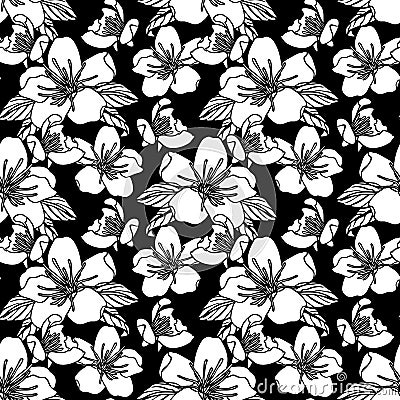 Seamless pattern with flowers stock vector illustration Vector Illustration