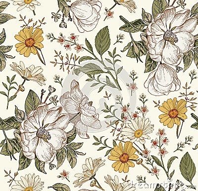 Seamless pattern flowers Vintage background Rosehip chamomile croton wildflowers Wallpaper Drawing engraving Vector Illustration Vector Illustration