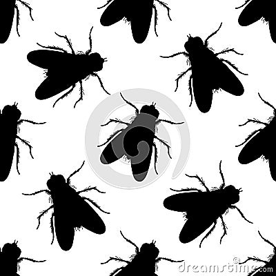 Seamless pattern with fly. Musca domestica . hand-drawn . fly. Vector Vector Illustration