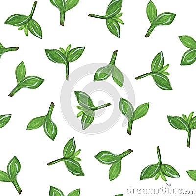 Seamless pattern with fresh spring sprouts. Green seedlings. Stock Photo