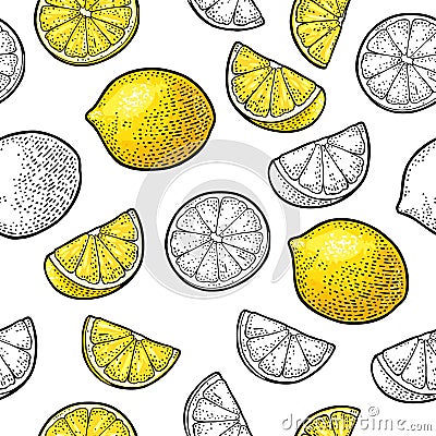 Seamless pattern fresh whole and slice lemon. Isolated on white Vector Illustration