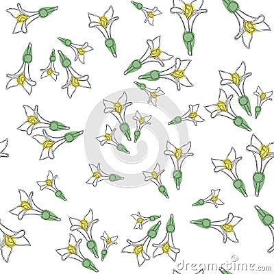 Seamless pattern with fresh woodruff flowers. Good for backdrop, textile, wrapping paper, wall posters. Vector continuous line dra Vector Illustration