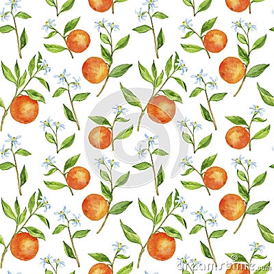 Seamless pattern with fruit tree branches, flowers, leaves and oranges Stock Photo