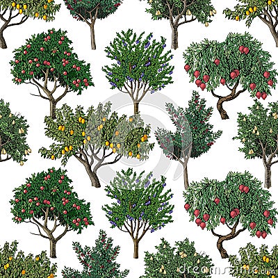 Seamless pattern with fruit trees Vector Illustration