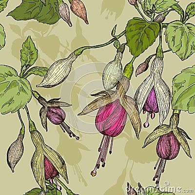 Seamless pattern with fuchsia flower Stock Photo