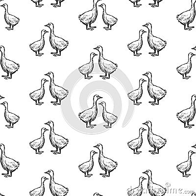 Seamless pattern of geese sketches Vector Illustration