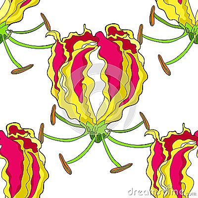 Seamless pattern Gloriosa flower Gorgeous red. vector illustrat Vector Illustration