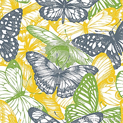 Seamless pattern with graphic sketch color butterflies Vector Illustration