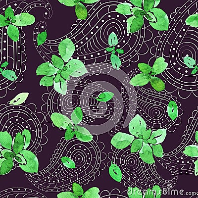 Basil and paisley pattern Stock Photo