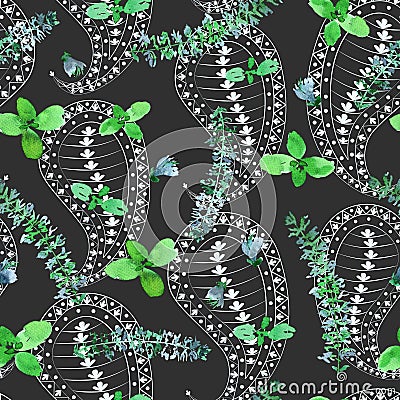 Basil and paisley pattern Stock Photo