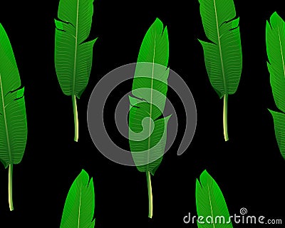 Seamless pattern of green realistic strelitzia leaves. Graphic design. Vector Illustration