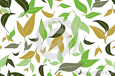 Seamless pattern with green tea leaves on white background. Hand painting on paper. May used in fabric, wrapping paper Vector Illustration