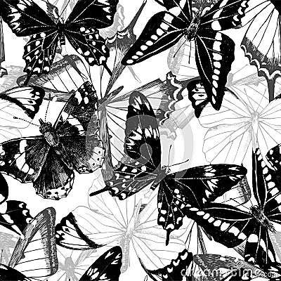 Seamless pattern with hand drawn butterflies. Vector Illustration