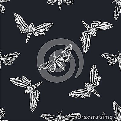 Seamless pattern with hand drawn chalk ambulyx moth, white-banded hunter hawkmoth Vector Illustration