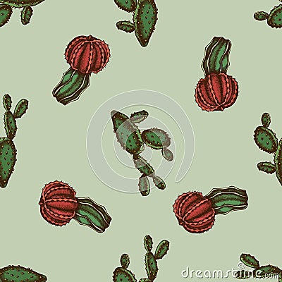 Seamless pattern with hand drawn colored cactus Vector Illustration