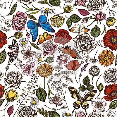 Seamless pattern with hand drawn colored shepherd`s purse, heather, iris japonica, sakura, gypsophila, chamomile, almond Vector Illustration