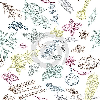 Seamless pattern with hand drawn culinary herbs and spices Vector Illustration