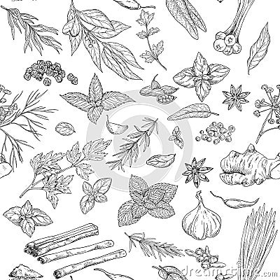 Seamless pattern with hand drawn culinary herbs and spices Vector Illustration