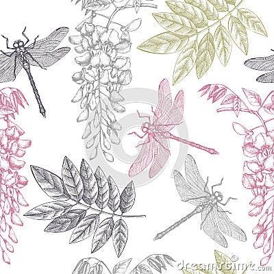 Seamless pattern with hand drawn dragonfly and wisteria flowers. Vector insects sketch. Vintage spring background. Botanical illus Cartoon Illustration